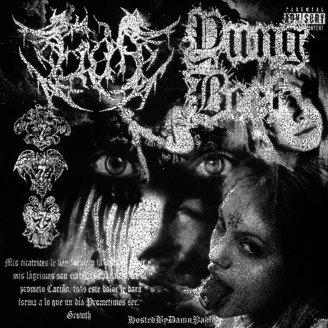 Portada del álbum TRAUMATISMO KRANEOENCEFÁLICO II con estilo visual artístico